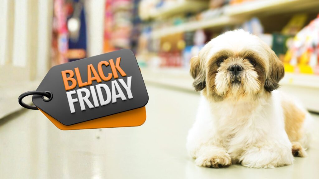 pet em loja com placa de black friday ao lado
